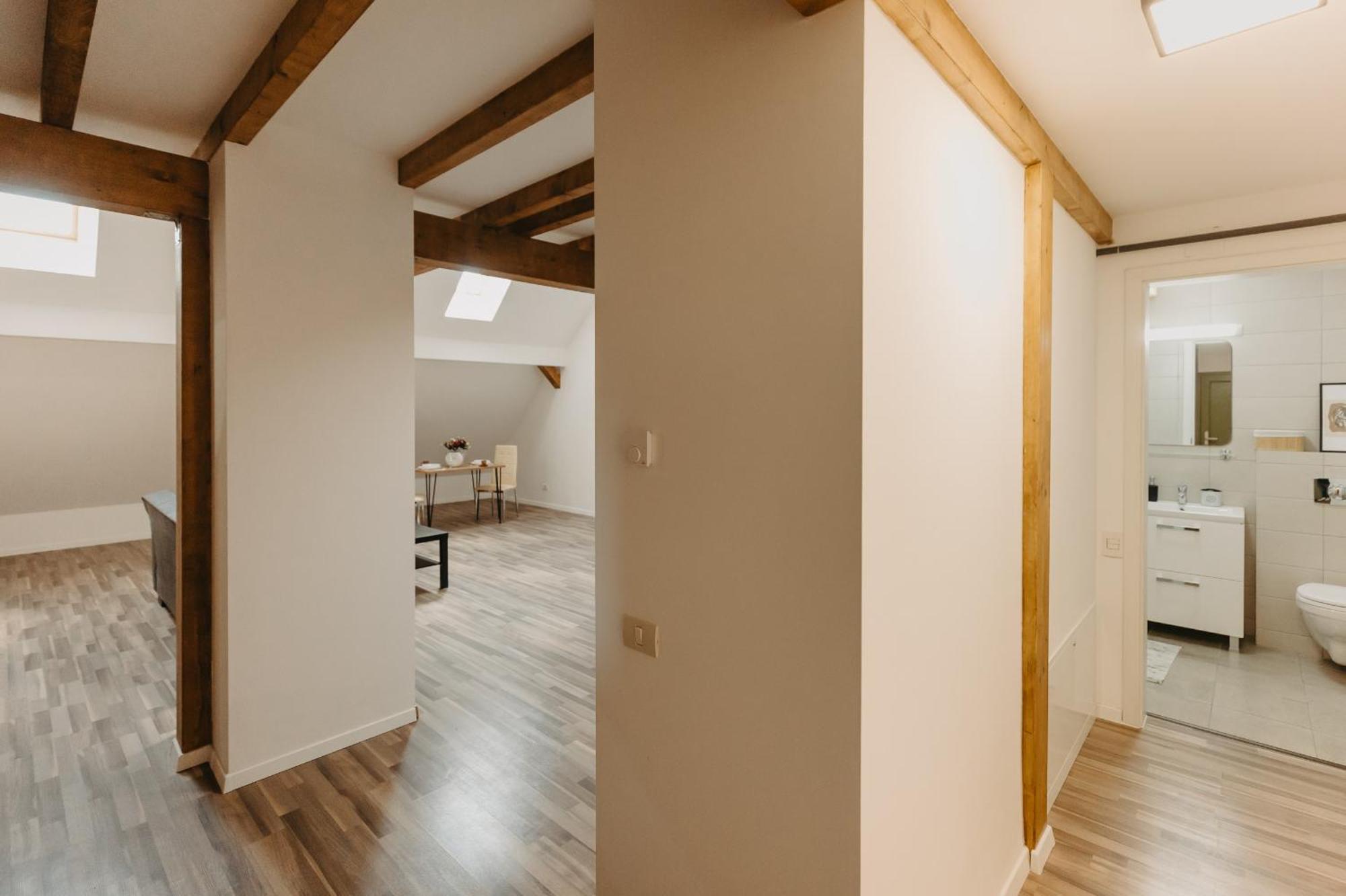 Holiday Apartments Central Temeşvar Dış mekan fotoğraf